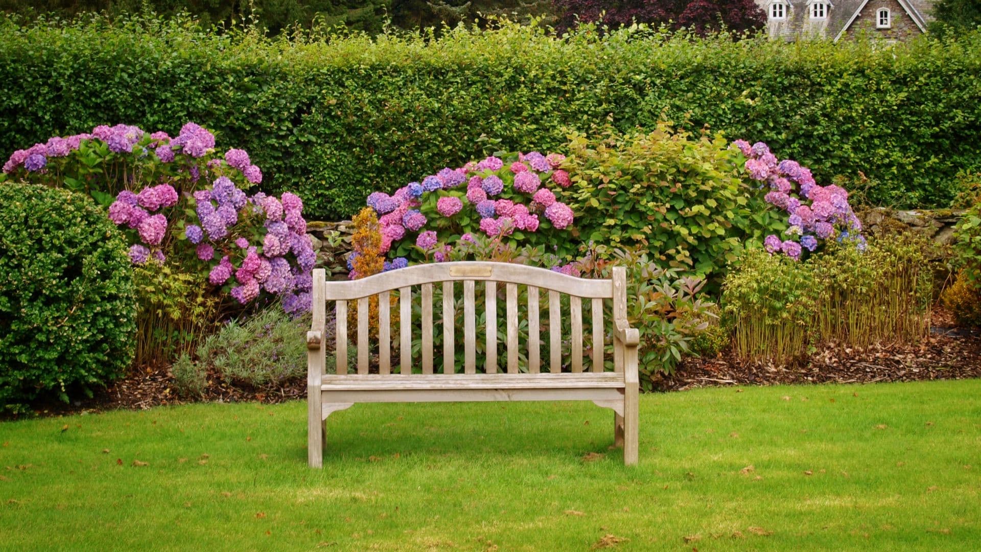 Tip 3: Clean up the Lawn